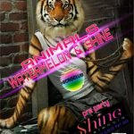 water-melon-shine