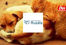 Clínica Veterinaria Ruzafa clinica-veterinaria-ruzafa-valencia
