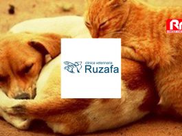 clinica-veterinaria-ruzafa-valencia