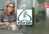 Clínica veterinaria Veterinos veterinos-clinica-veterinaria-ruzafa-valencia