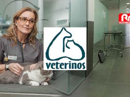 veterinos-clinica-veterinaria-ruzafa-valencia