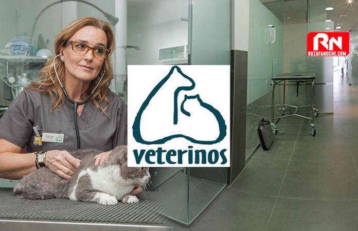 veterinos-clinica-veterinaria-ruzafa-valencia