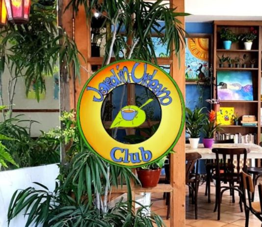 Jardin Urbano Ruzafa Deliciosas Creaciones Veganas en el Jardín Urbano Ruzafa